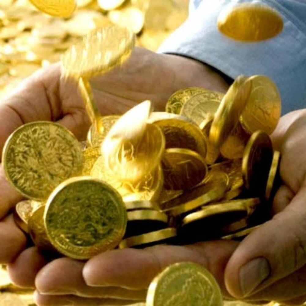 Meet your Posher, Nelson